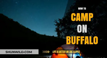 Camping on Buffalo: Essential Tips for a Safe and Unique Adventure