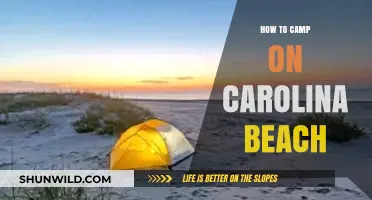 Carolina Beach Camping: Your Ultimate Guide to Seaside Adventure