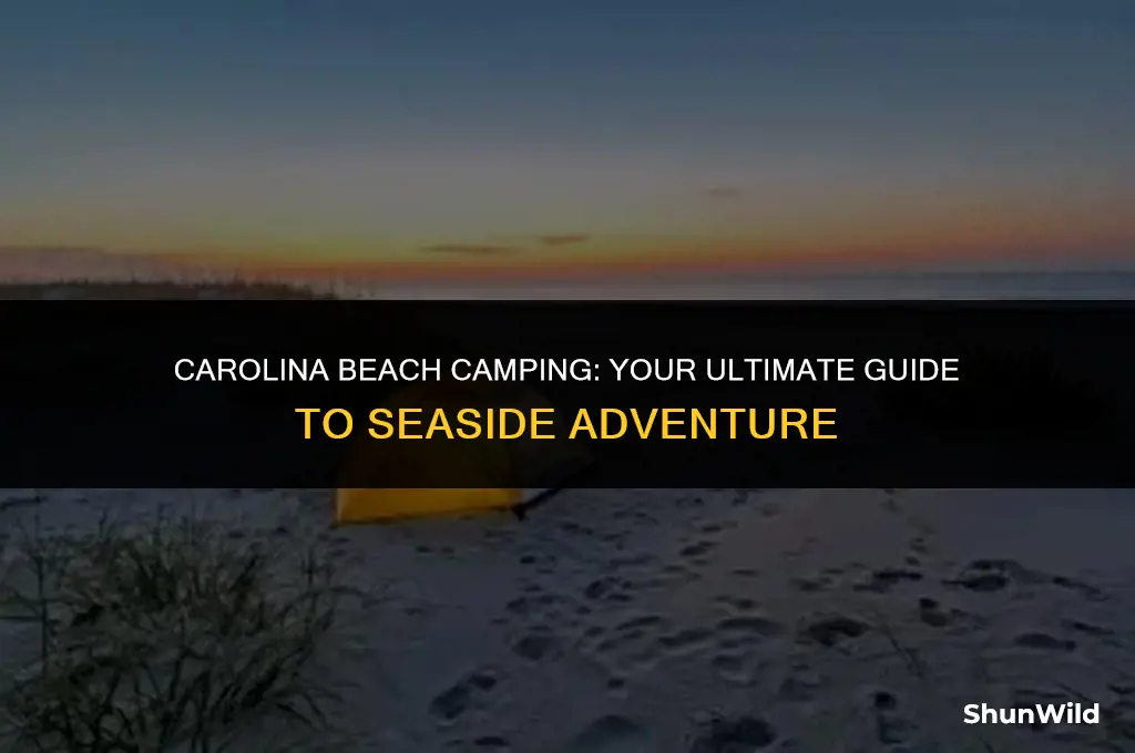 how to camp on carolina beach