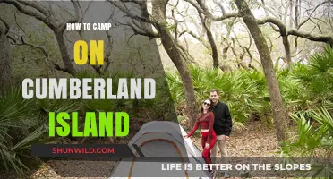 Exploring Cumberland Island: A Camper's Guide to Paradise