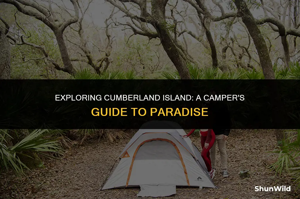 how to camp on cumberland island