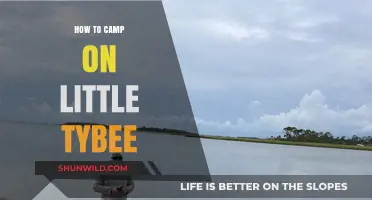 Exploring Little Tybee: A Beginner's Guide to Camping Bliss