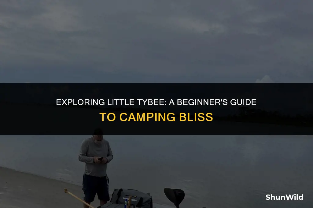how to camp on little tybee