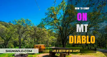 Embracing the Heights: A Beginner's Guide to Camping on Mt. Diablo