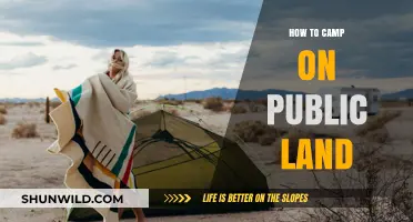 Exploring the Great Outdoors: A Guide to Camping on Public Land