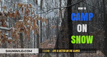 Mastering Winter Camping: Essential Tips for Snow Shelter and Survival