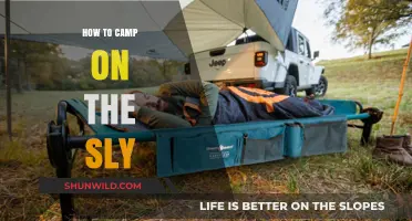 Stealth Camping 101: How to Camp on the Sly