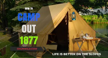 Camping in 1877: Essential Tips for a Successful Outdoor Adventure