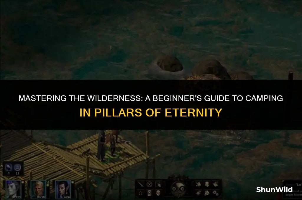how to camp pillars of eternity