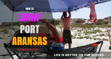 Camping in Port Aransas: Essential Tips for a Perfect Beach Adventure