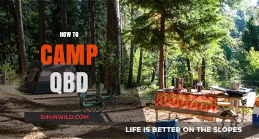 Mastering QBD Camping: Essential Tips for a Successful Outdoor Adventure