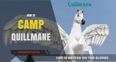 Mastering Quillmane Camping: Essential Tips for an Unforgettable Outdoor Adventure