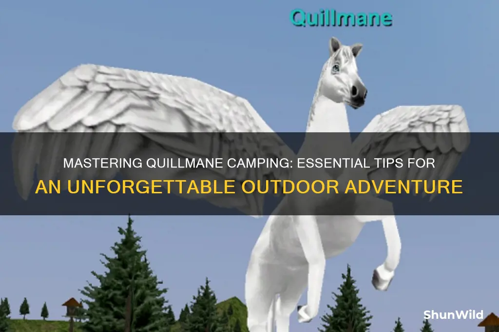 how to camp quillmane