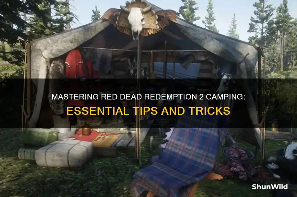 how to camp rdr 2