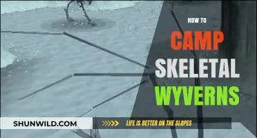 Mastering Skeletal Wyvern Camping: Essential Tips for Efficient Loot and XP