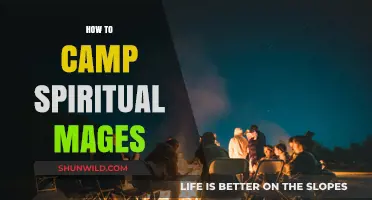 Mastering the Art of Camping with Spiritual Mages: A Guide