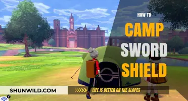 Master Camping Strategies for Sword & Shield in Pokémon Battles
