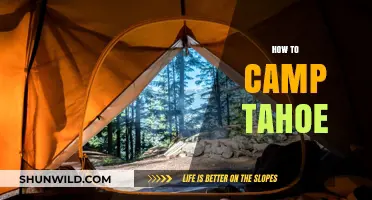Ultimate Guide to Camping in Tahoe: Tips, Spots, and Essentials