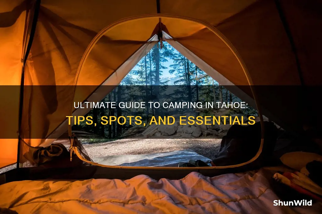 how to camp tahoe