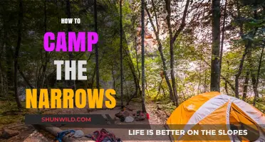 Mastering The Narrows: Essential Camping Tips for Zion's Iconic Slot Canyon