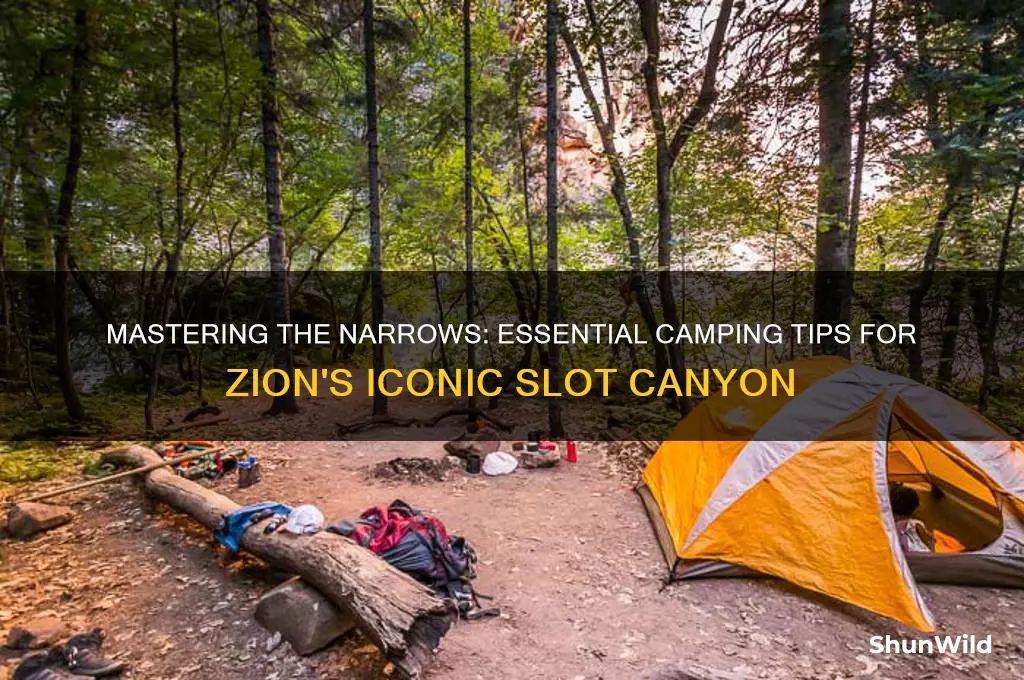 how to camp the narrows