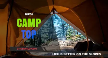 Mastering the Art of Camping: Top Tips for a Perfect Outdoor Adventure