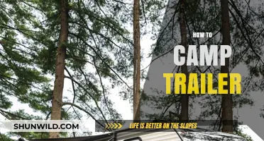 Mastering Camp Trailer Basics: Tips for a Perfect Outdoor Adventure