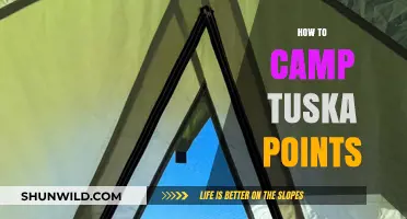 Mastering Tuska Points: Essential Camping Strategies for Efficient Farming