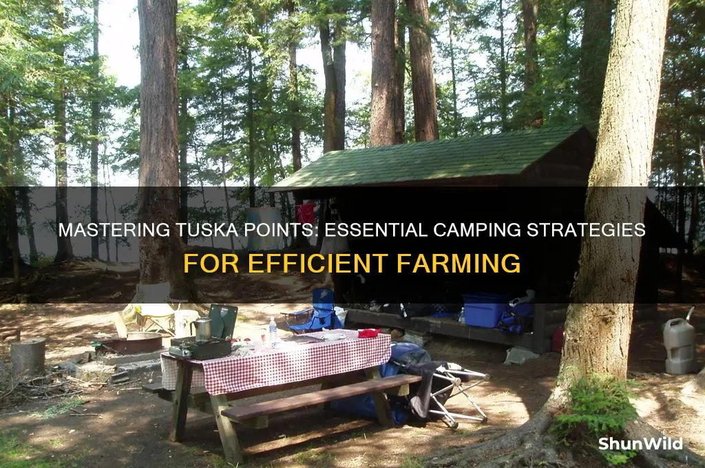 how to camp tuska points