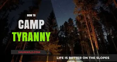 Mastering the Art of Camping in Tyranny: Tips and Strategies
