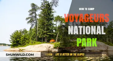 Exploring the Wilderness: A Guide to Camping at Voyageurs National Park