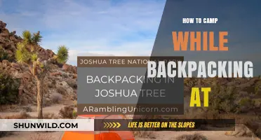 Essential Tips for Backpacking and Camping Adventures