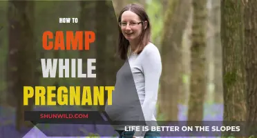 Pregnancy Camping Tips: Safe and Comfortable Outdoor Adventures for Moms-to-Be