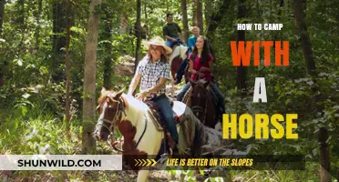Equine Camping 101: A Beginner's Guide to Horseback Adventures