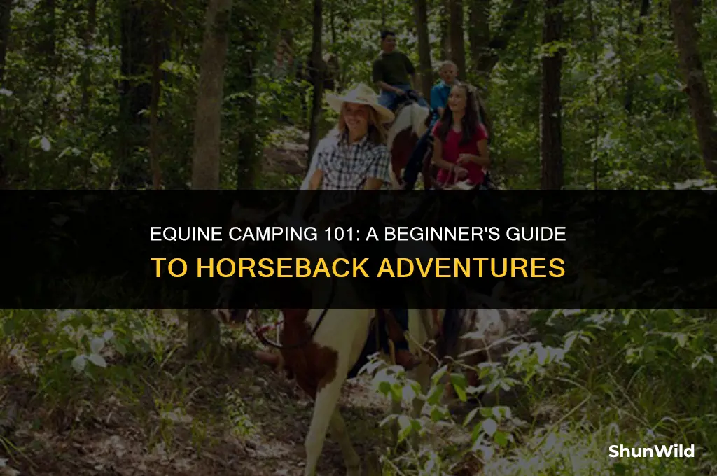 how to camp with a horse