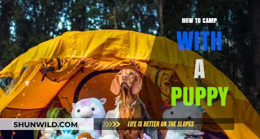 Puppy Camping 101: Tips for a Paw-some Outdoor Adventure