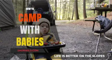 Camping with Babies: Tips for a Safe and Fun Family Adventure