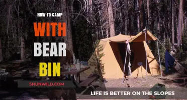 Bear-Proof Your Campsite: A Guide to Safe Outdoor Adventures