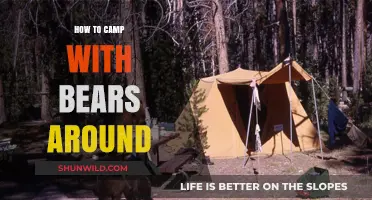 Bear-Proof Your Campsite: Tips for Safe Outdoor Adventures