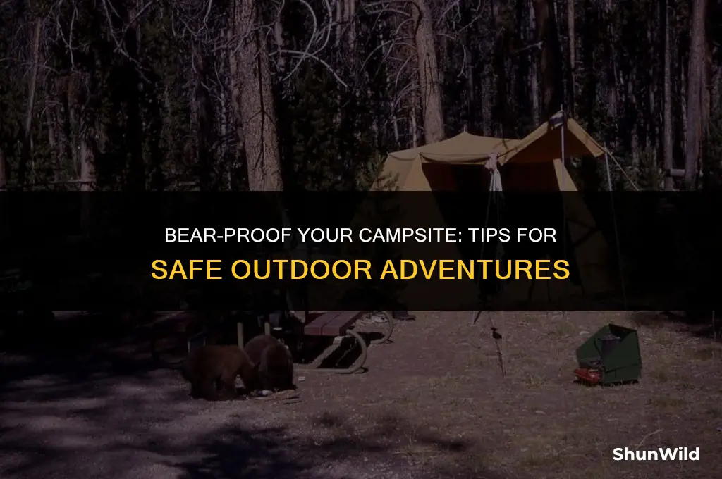 how to camp with bears around