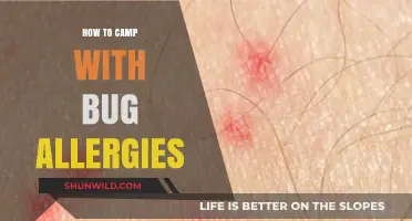 Braving the Wilderness: Camping Tips for Those with Bug Allergies