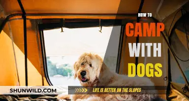 Camping with Canines: Essential Tips for Dog-Friendly Outdoor Adventures