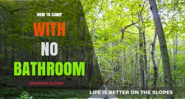 Embracing the Wild: A Guide to Camping Without Modern Conveniences