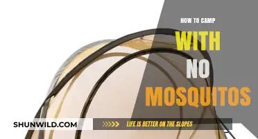Mosquito-Free Camping: Tips and Tricks for a Comfortable Outdoor Adventure