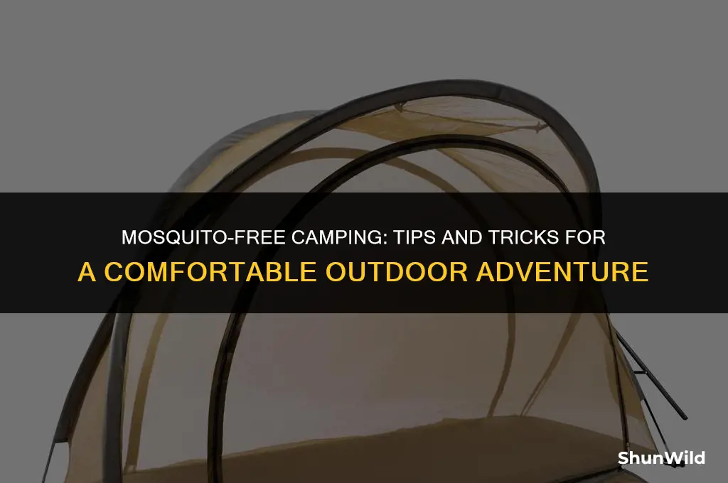 how to camp with no mosquitos
