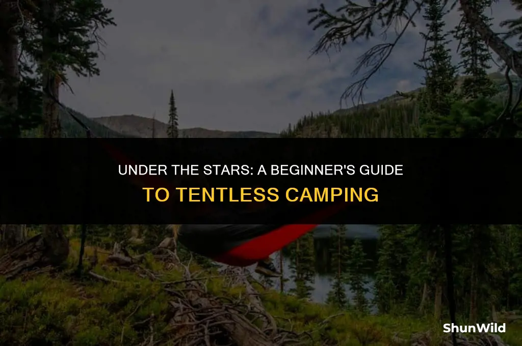 how to camp with no tent