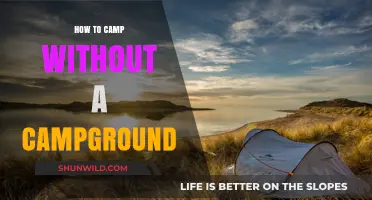 Exploring the Wilderness: Camping Beyond Traditional Campgrounds