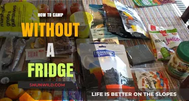 Essential Tips for Camping Without a Fridge: Stay Cool and Fresh