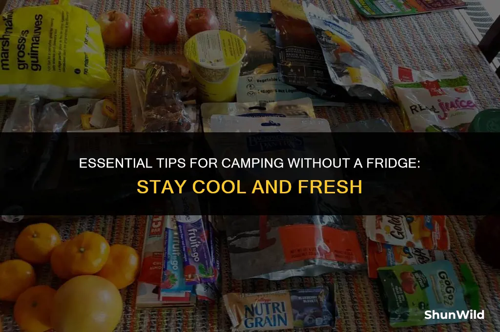how to camp without a fridge