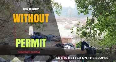 Unauthorized Camping: Tips and Tricks for the Adventurous Camper